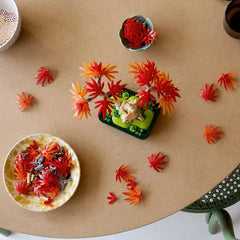 LEGO® Japanese Red Maple Bonsai Tree Showcase