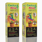 Cactus Alive #DancingCactus | w/ Sombrero & Cha-Chas | As Seen On Social Simple Exclusive