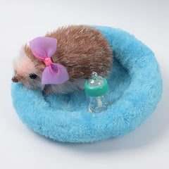 TrueHeart Treasures Reborn Animals: Henry The Hedgehog Realistic Mini Silicone Hedgehog Baby