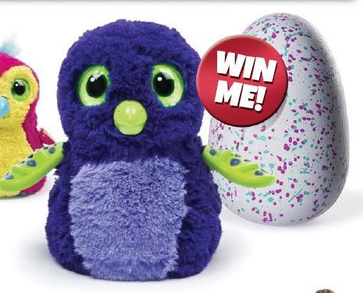 Newspapers Across Toronto Pick Up On Our Black Friday Hatchimals Giveaway