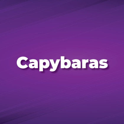 All Capybaras