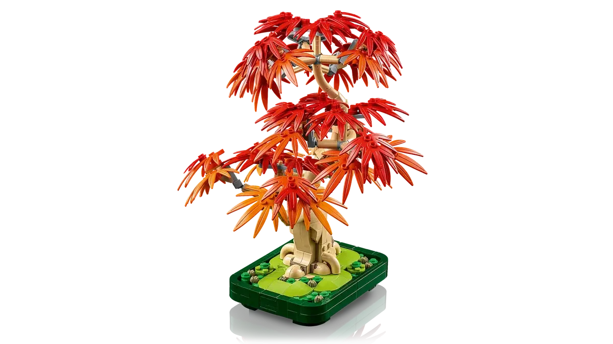 LEGO® Japanese Red Maple Bonsai Tree Showcase 