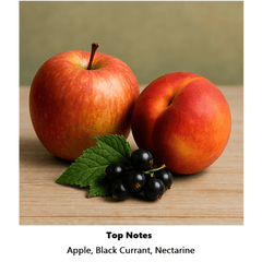 Khadlaj Hareem Al Sultan Silver Pink Unisex Perfume Oil (35mL) Simple Khadlaj Hareem 