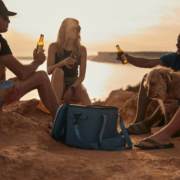 Cool Chill Soft Cooler Bag - Your Cool Companion for Every Adventure Simple Cool Chill 