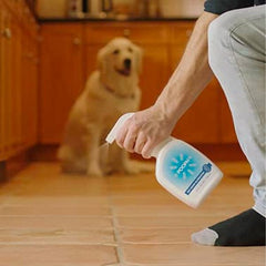 POOPH: Pet Odor & Stain Eliminator (32oz) Simple Showcase 