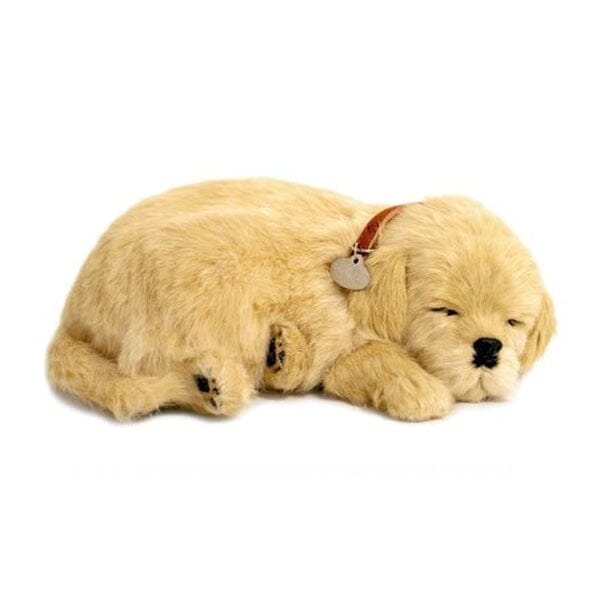 Sweet Petzzz: Realistic Dog & Cat Plush Dolls | Multiple Styles Simple Showcase Golder Retriever 