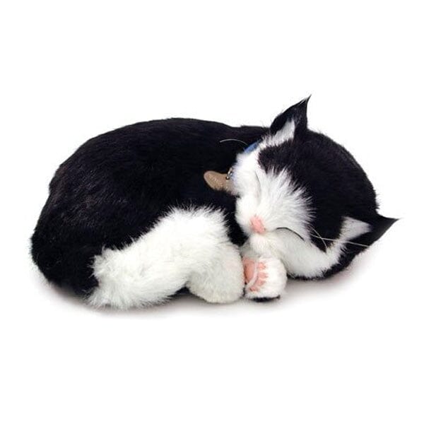 Sweet Petzzz: Realistic Dog & Cat Plush Dolls | Multiple Styles Simple Showcase Black & White Cat 