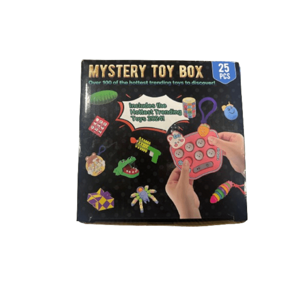 Mystery Fidget Box 25 Pcs 2024 Simple Showcase 