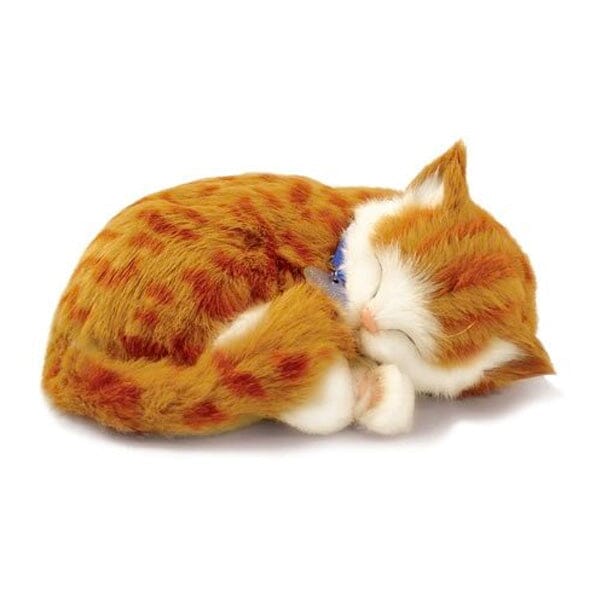 Sweet Petzzz: Realistic Dog & Cat Plush Dolls | Multiple Styles Simple Showcase Orange Cat 