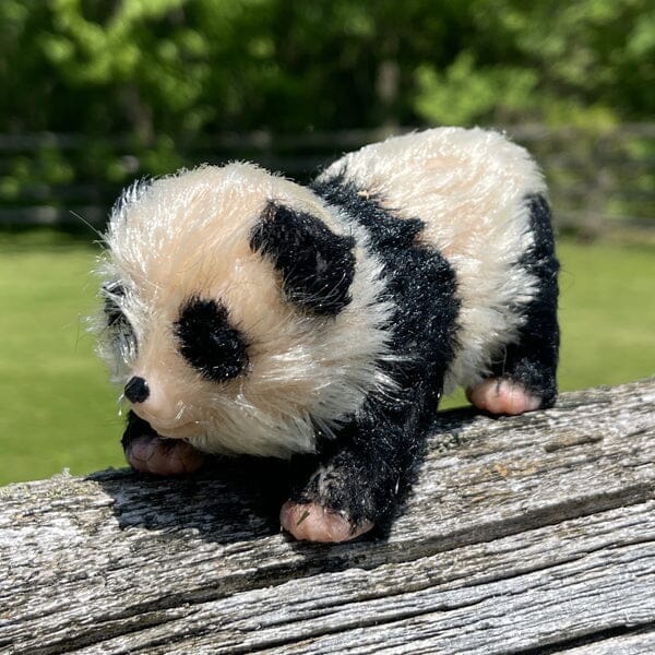 TrueHeart Treasures Reborn Animals: Realistic Mini Silicone Newborn Baby Animals (Multiple Styles) Simple Showcase Polly The Panda Cub 