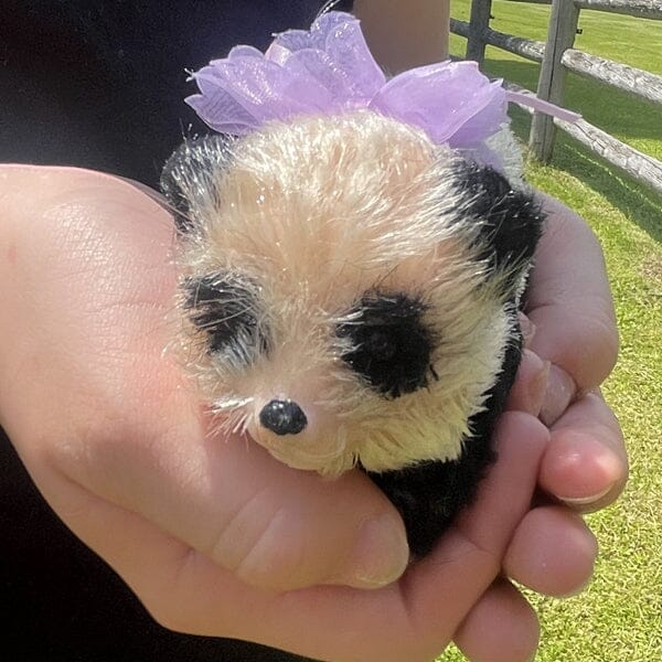 TrueHeart Treasures Reborn Animals: Realistic Mini Silicone Newborn Baby Animals (Multiple Styles) Simple Showcase 