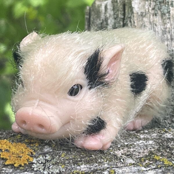 True Heart Treasures Reborn Animals: Patches The Spotted Piglet Realistic Mini Silicone Newborn Baby Pig Simple Showcase 