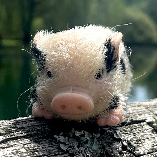 True Heart Treasures Reborn Animals: Patches The Spotted Piglet Realistic Mini Silicone Newborn Baby Pig Simple Showcase 