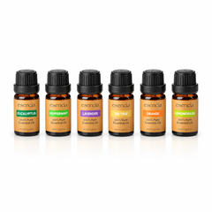 Esencia Essential Oils (6pk)