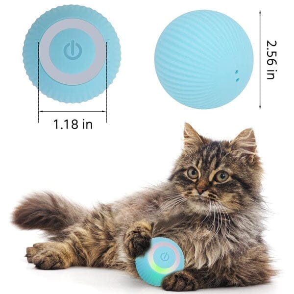 WhirlCatty: The Magic Ball Cat Toy | As Seen On TikTok! | Pre-Order Preorder Showcase 