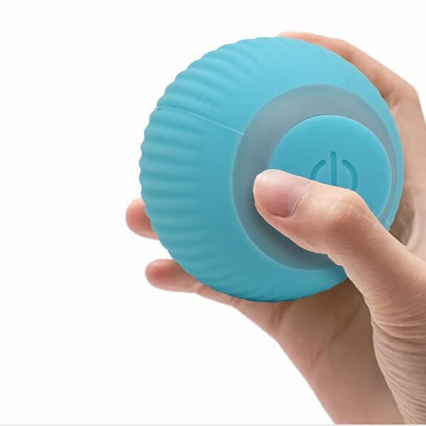 WhirlCatty: The Magic Ball Cat Toy | As Seen On TikTok! | Pre-Order Preorder Showcase 