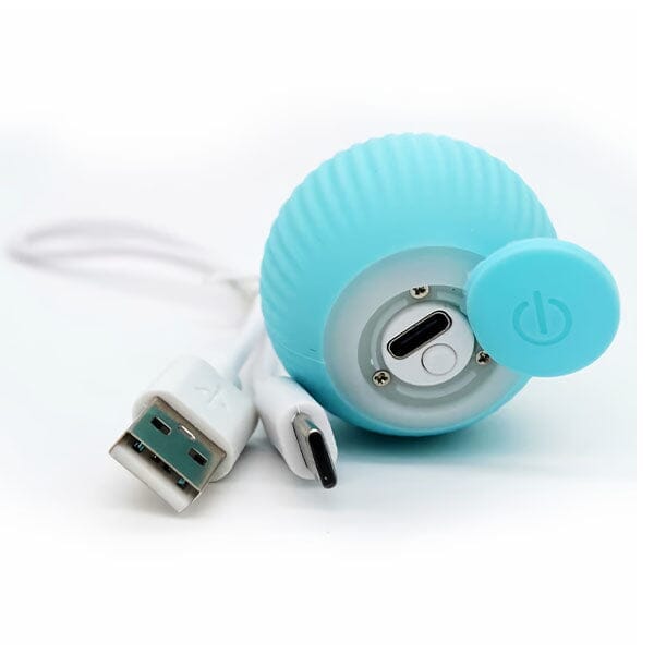 WhirlCatty: The Magic Ball Cat Toy | As Seen On TikTok! | Pre-Order Preorder Showcase 