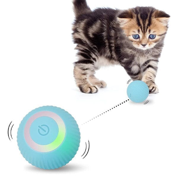 WhirlCatty The Magic Ball Cat Toy As Seen On TikTok Showcase US