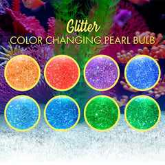 LED Color-Changing Clam Shell Glitter Lamp Simple Showcase 