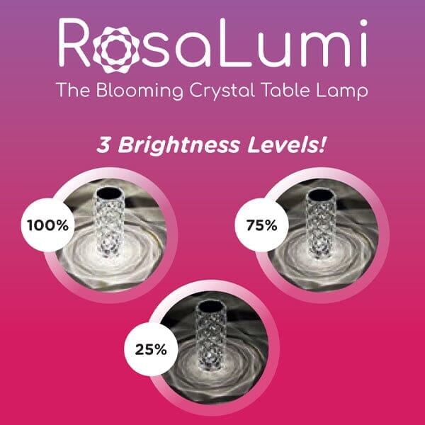 The RosaLumi | LED Crystal Rose Table Lamp | 16 Color Modes Simple Showcase 