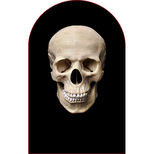 Sheisty Mask Transparent Halloween Stocking Balaclava (Multiple Styles) Simple Exclusive Skull 