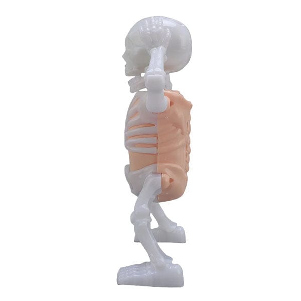 SkellyVibes Glow-In-The-Dark Dancing Skeleton - Lights Up & Laughs! Simple Exclusive 