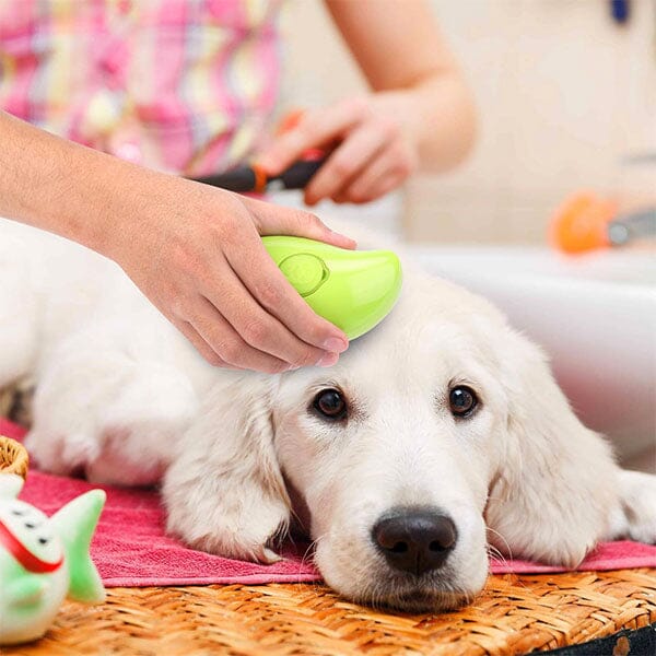 SteamyTails: Silicone Steam Grooming Brush For Cats & Dogs Preorder Showcase 