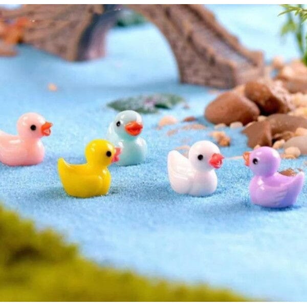 Tiny Ducks (100pc) | Assorted colours| Pre-Order Preorder Showcase 