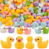 Hide-A-Duck! (100pc) | Tiny Ducks To Prank Your Friends With! | As Seen On Social